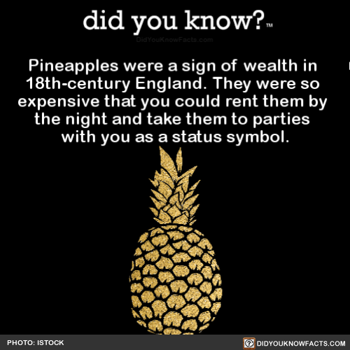 pineapples-were-a-sign-of-wealth-in-18th-century