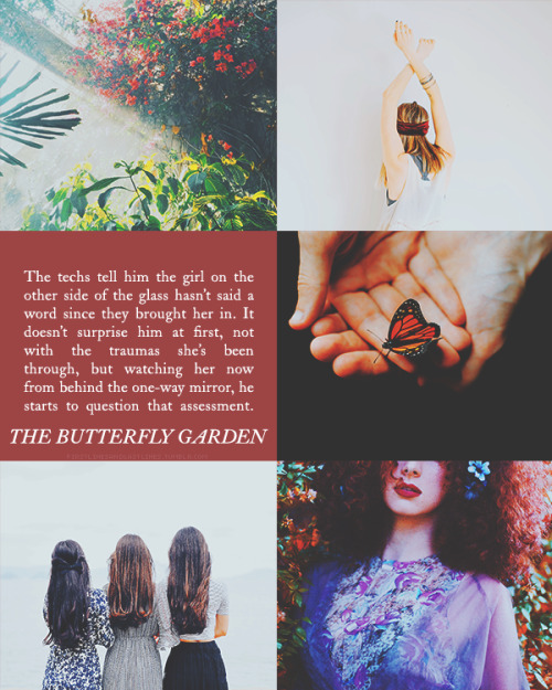 The Butterfly Garden Tumblr