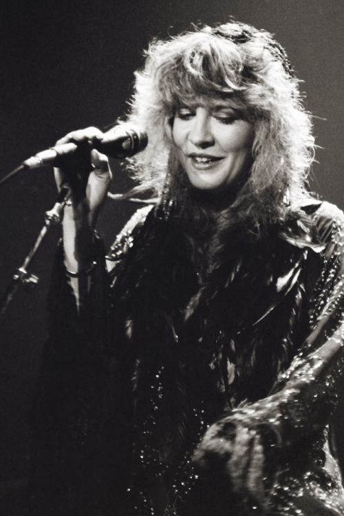 stevie-nicks-daily:The Wild Heart Tour, Denver, CO - September...