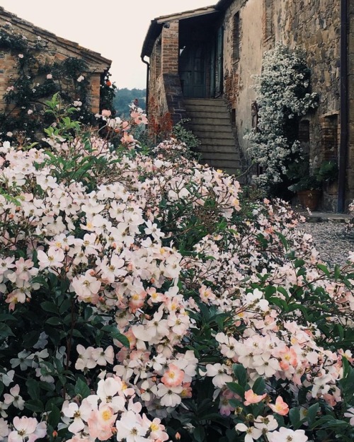 floralls:Tuscanyby da.vi.de