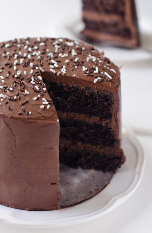 gastronomicgoodies:Dark Chocolate Cake with Malted Chocolate...