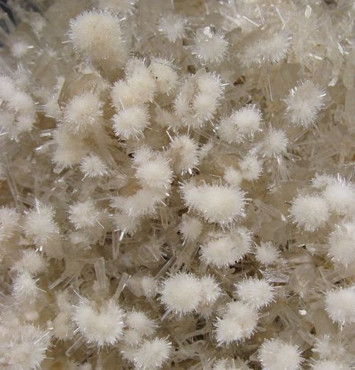 bijoux-et-mineraux:Selenite puff balls on Selenite - Victoria,...