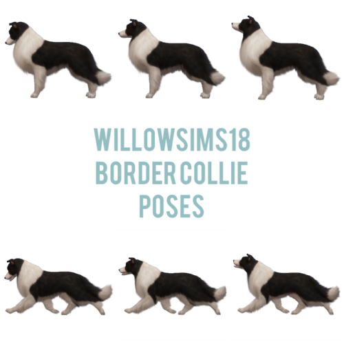 willowsims18