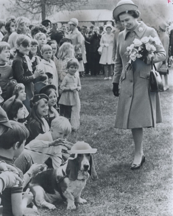 crownedlegend - britishroyallove: Queen Elizabeth II with dogs...