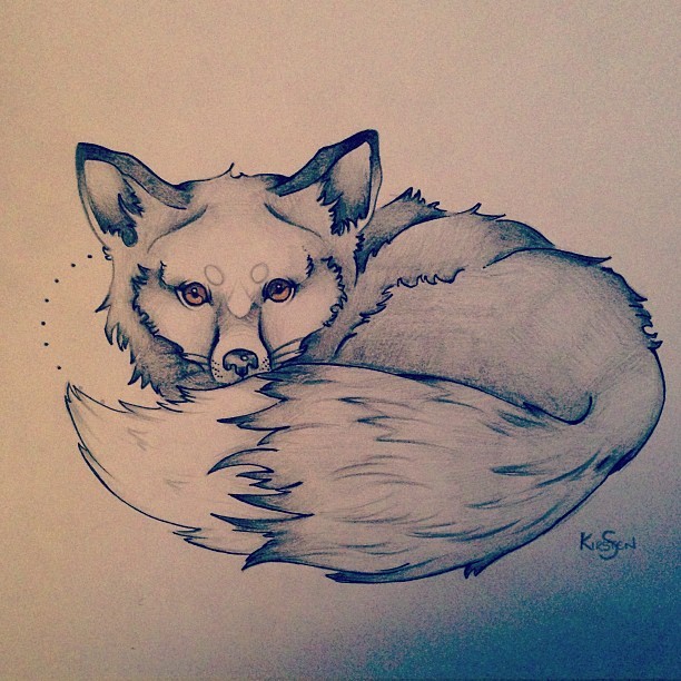 Untitled | Fox tattoo design, Drawings, Fox tattoo