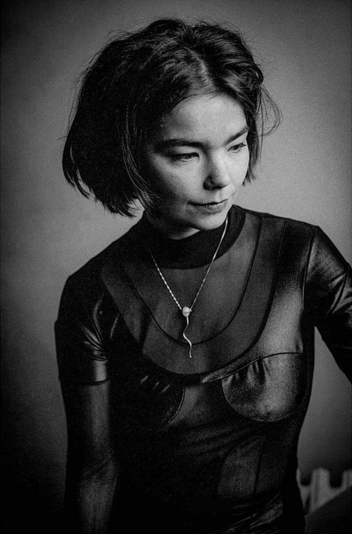 Björk par Stefan de Batselier. 