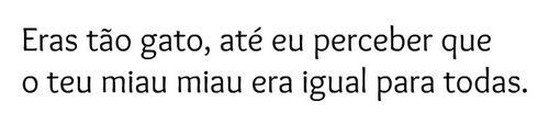 gato imagens tumblr miau miau frases indiretas