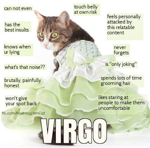 meowmeowkazoo:Cat horoscopes! :3