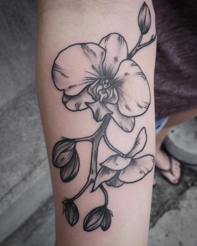 670+ Free Download Orchid Tattoo Inspiration Idea Tattoo Images