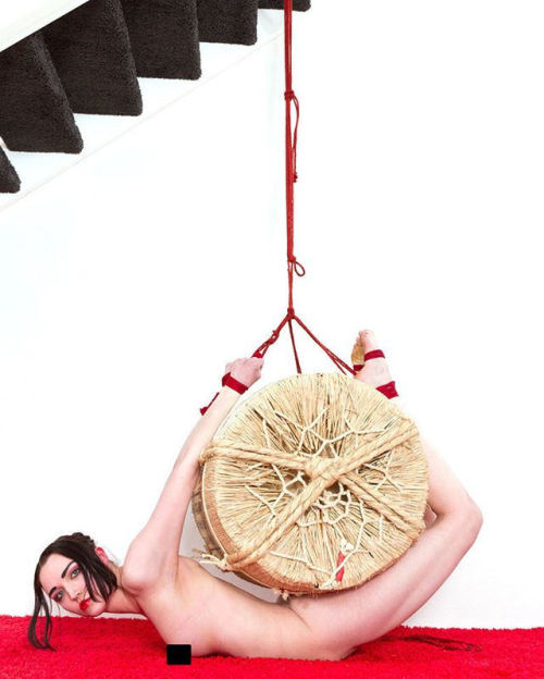 ropemarks-bob:#TBT 2011 - What to do with an empty sake barrel?...