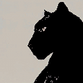 [Image: tumblr_pigxv7AL0n1wwkc82o8_250.png]