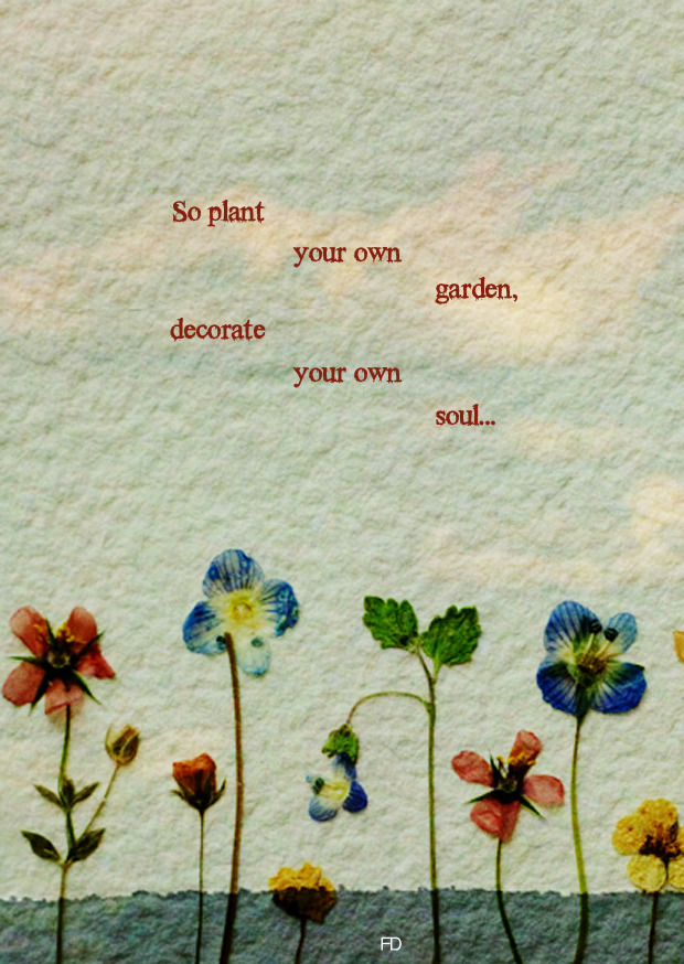 Fariedesign So Plant Your Own Gardens And Decorate Your Own