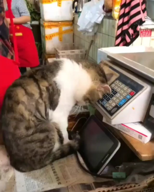 Caught sleeping on the job! (Source: https://ift.tt/2xZjv3G)