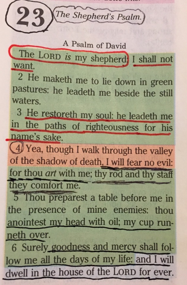 The Lord Is My Shepherd Tumblr
