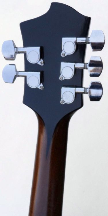 frettedchordophones:frettedchordophones:Tritonus 5 string...