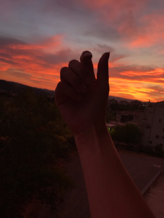 ᴡʜᴇʀᴇ ᴍʏ ᴅᴇᴍᴏɴs ʜɪᴅᴇ Hand Appreciation At Sunset