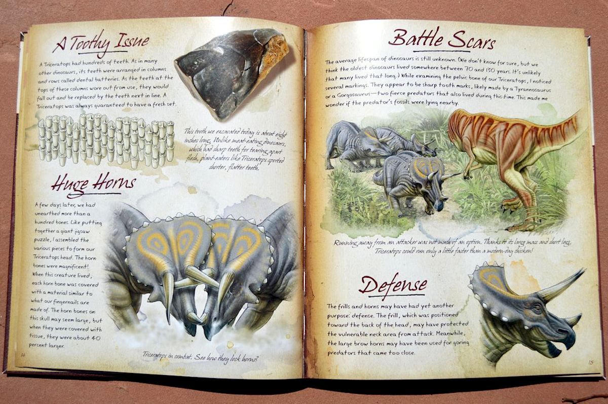 a field guide to dinosaurs