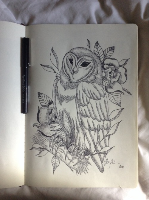 owl drawing on Tumblr