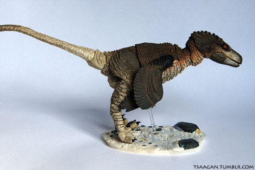 tsaagan:Beasts of the Mesozoic: Raptor Series 1/6th scale...