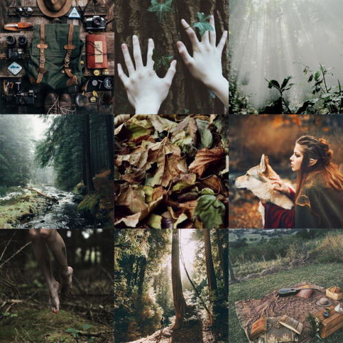 wood elf on Tumblr