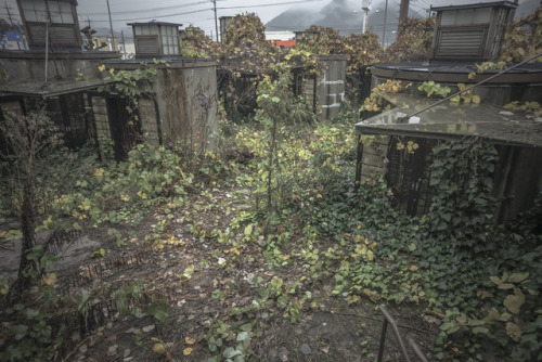 elugraphy:Abandoned restaurant.