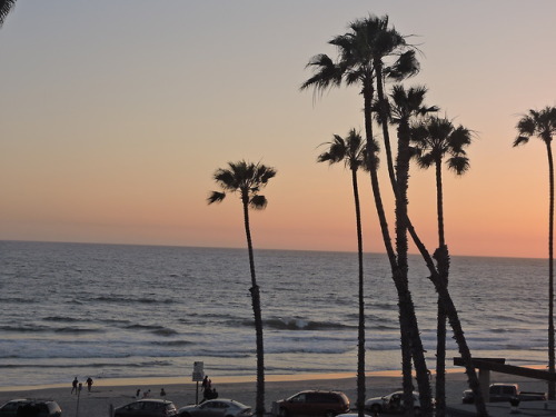 Oceanside Pier Part 2We also found out about the Oceanside...