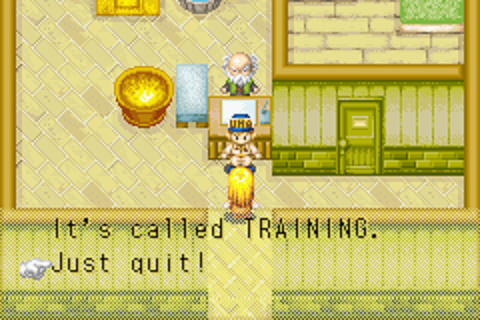 shadowoftheharvestmoon:You are talking to the protag who quit...