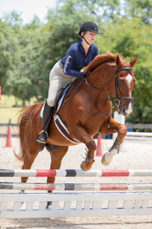 griffinequestrian