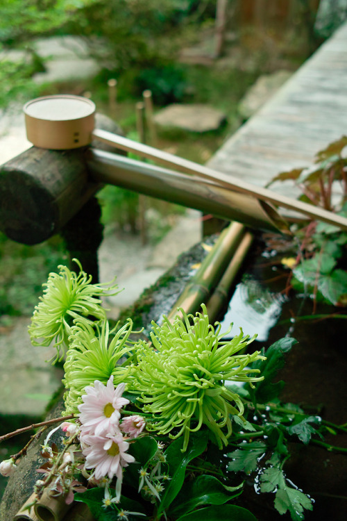 wanderlustjapan:Hosen-in Temple, Kyoto byhirox176