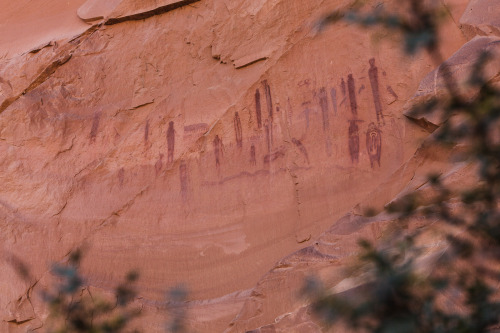 ancientart:Horseshoe Canyon, Utah, USA, within it, the Great...