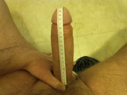 bigmeasuredcocks:Girthy cock submission.