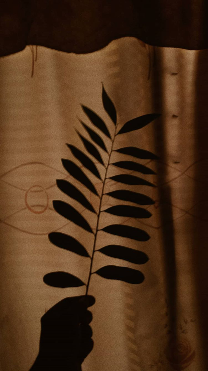 900+ Wallpaper Aesthetic Brown Terbaik 900+ Wallpaper Aesthetic Brown Terbaik
