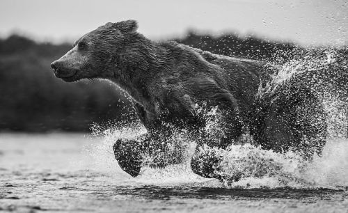 Top Shot: In a Rush Top Shot features the photo with the most votes from the previous day’s Daily Dozen, 12 photos selected by the Your Shot editors. The photo our community has voted as their favorite is showcased on the @natgeoyourshot Instagram...