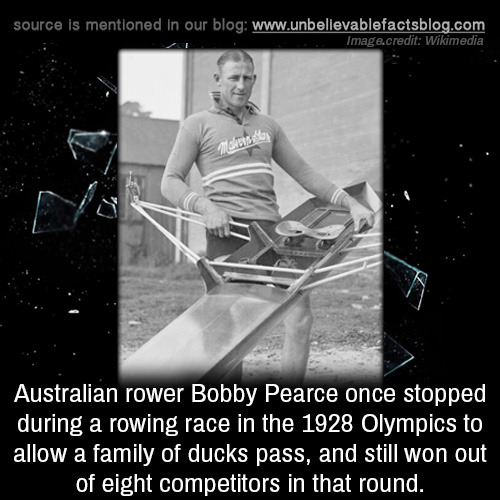 unbelievable-facts:Australian rower Bobby Pearce once stopped...