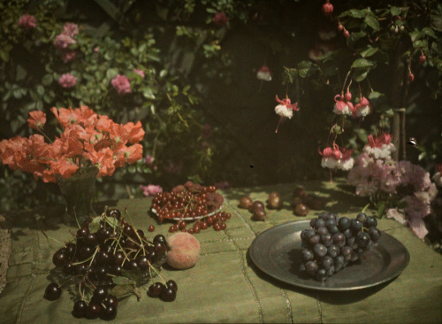 zielenadel:Ernest van Zuylen . Still life with grapes and...