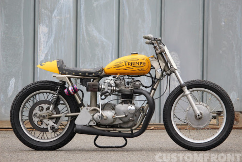 hellkustom: More pics...