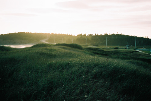 astratos:Golden hour at the beachNova Scotia, Canada