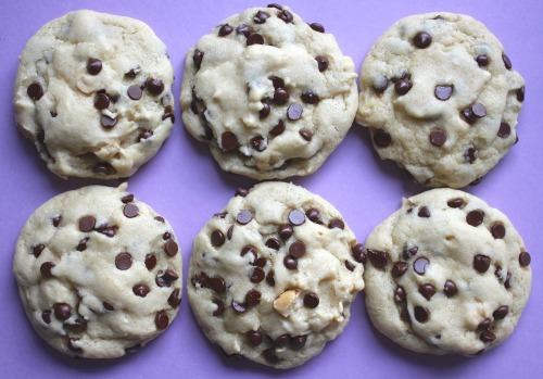 getfatnfab:vegan chocolate chip hazelnut cookiesSoft,...