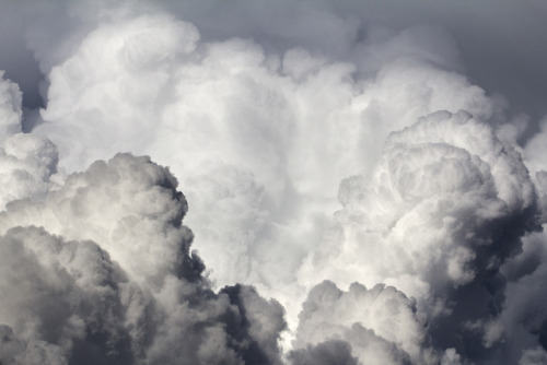 inlandwest:6 photos of a Cumulonimbus cloud over my house.