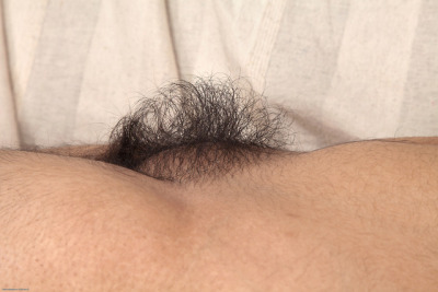 Hairypussysideviews Tumblr Com Tumbex