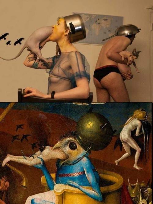 awed-frog