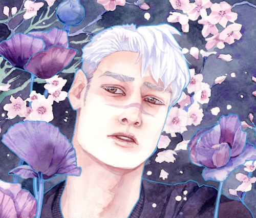 Shiro with Poppies and Cherry Blossoms, done in Watercolor on...