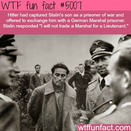 adolf hitler and josef stalin Who was worse: hitler or stalin posted by: jakeross6 in my opinion, adolf hitler was worse because he hated himself more than joseph stalin hated joseph stalin. adolf hitler and josef stalin Who was worse: hitler or stalin posted by: jakeross6 in my opinion, adolf hitler was worse because he hated himself more than joseph stalin hated joseph stalin.