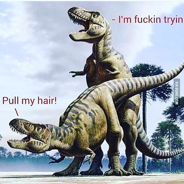 Very Bad Paleontology Jokes Tmology Trex Porn Short Hair