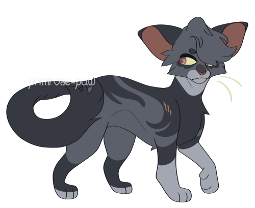 primrose-paw