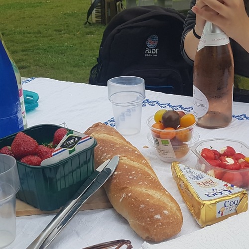 amberum:You can plan a pretty picnic but you can’t predict the...