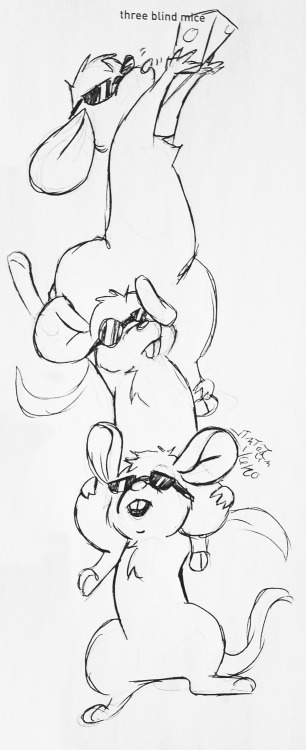siamese712-sketch-a-day