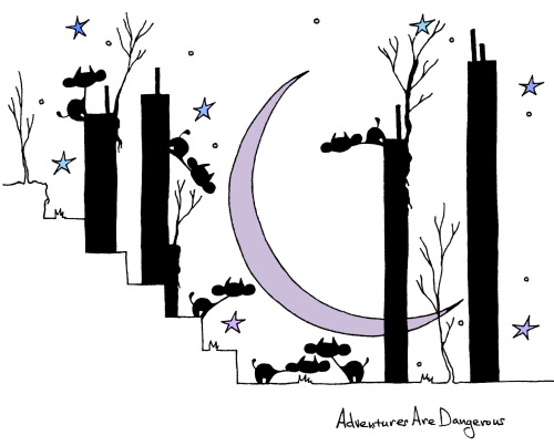 nightlyfieldlog