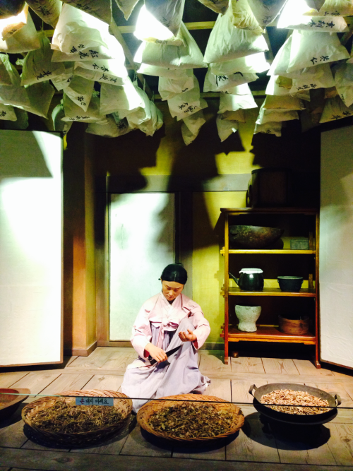 San Cheong Museum of Traditional Korean Medicine