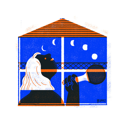 estudio-navegante